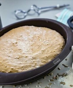 Lurch Flexiform Oval 24x18cm -Emil-Henry-Laden 215 RS4081 85034 FlexiForm Oval Motiv 2 scr